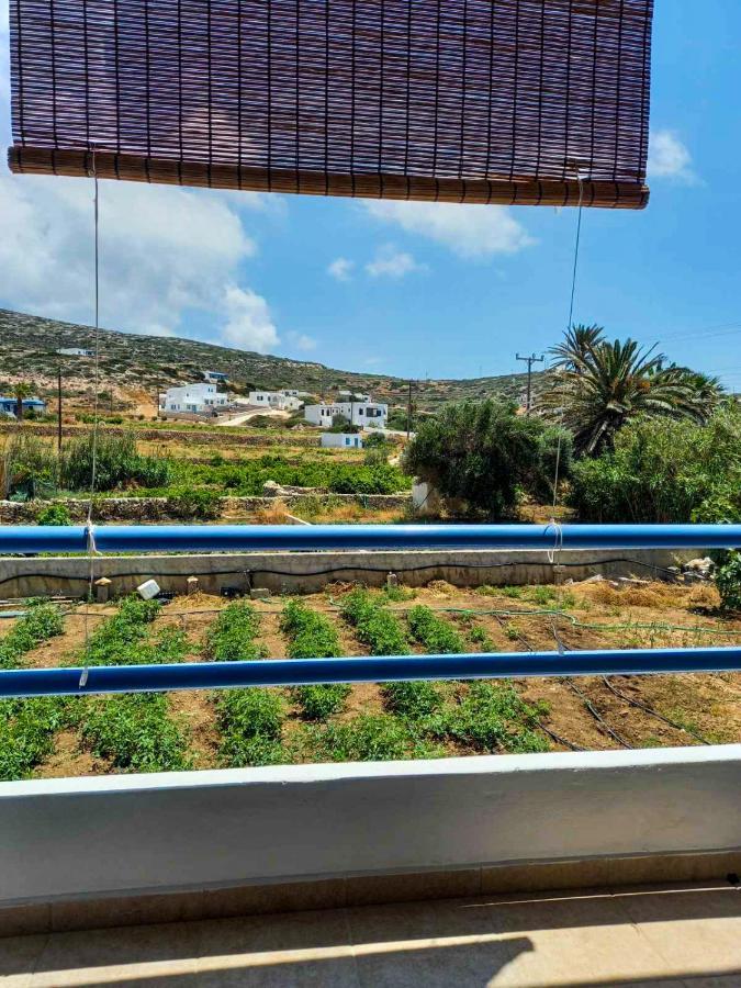 Marianna Studios دونوسا المظهر الخارجي الصورة